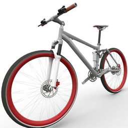 普龙泽自行车 卓越产品、精美图片与加盟店经营之道