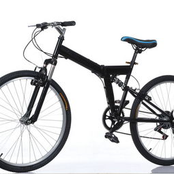 乐飞自行车 品质产品与加盟前景全解析