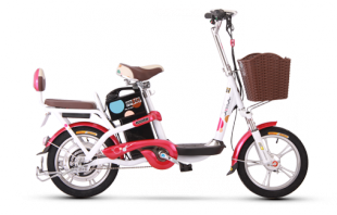 爱玛米乐电动自行车产品信息概览 价格与制造商解析